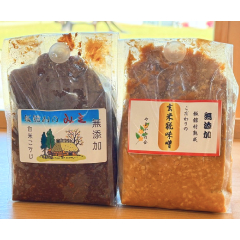 飯舘村