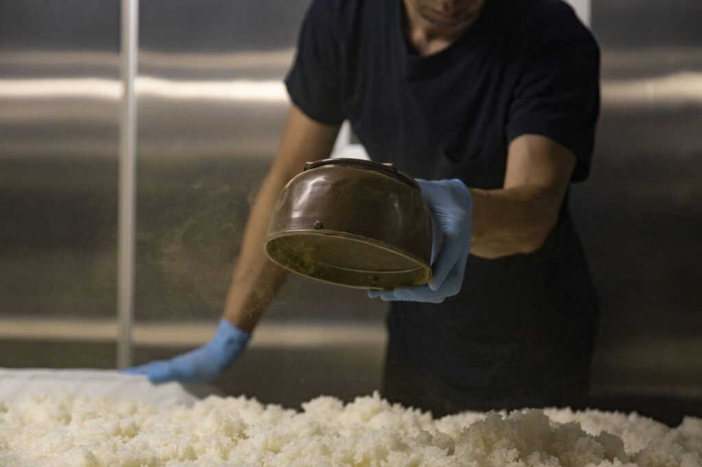 麹造り専用の部屋「麹室」に運ばれた蒸し米に、種麹(黄麹菌の胞子)をふりかける。麹室はもっとも清浄な場所。張りつめた空気が漂う