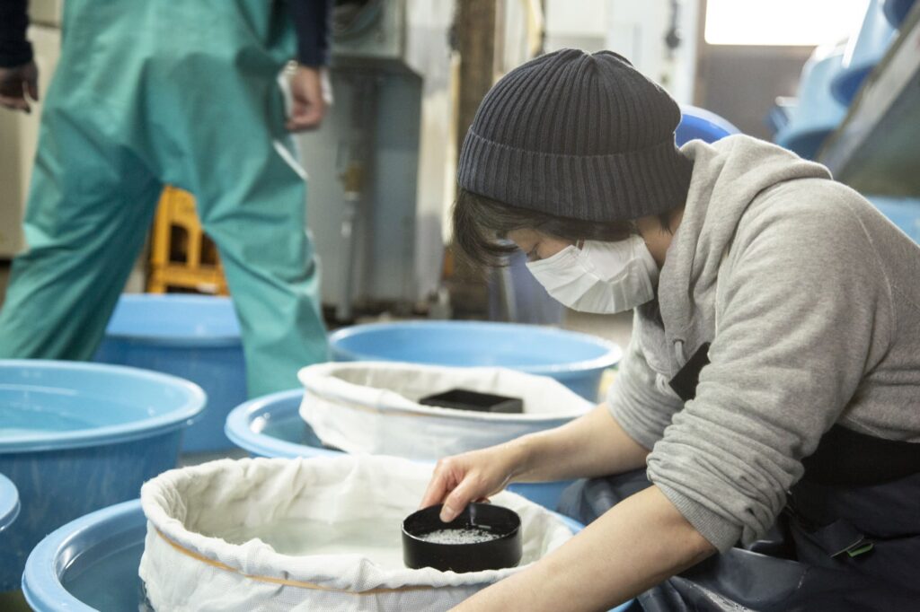 洗米作業中、1粒1粒の米の吸水状態を確認するゆりさん。粒の大きさ、気温や湿度などによって調整する繊細で重要な工程