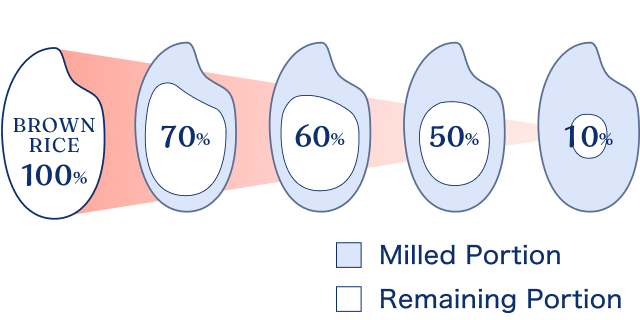 Illustration of rice polishing ratio (from 100% brown rice down to 10%)