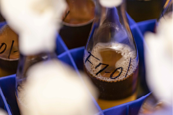 Utsukushima Yume yeast, Fukushima's original yeast