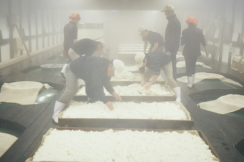 A scene from the brewing process. Sake rice, koji rice, and water are added to the tanks, which contain cedar staves, in three separate stages to encourage fermentation.