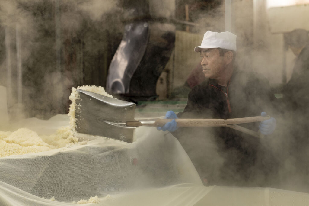 The process of steaming the rice in a large cauldron after it has been washed and soaked. White steam billows up into the chilly air of the early morning kura (brewery).