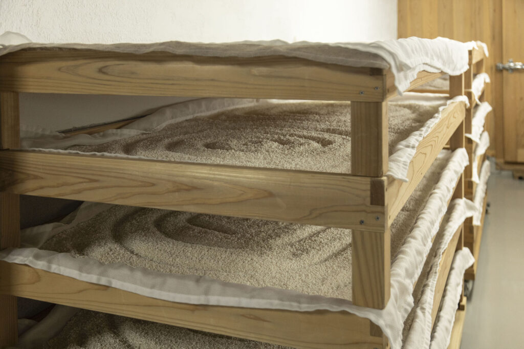 The 'dekōji' process, where the koji rice is taken out of the koji-muro (koji room) to be cooled and dried. This is done to prevent the koji mold from propagating too much.