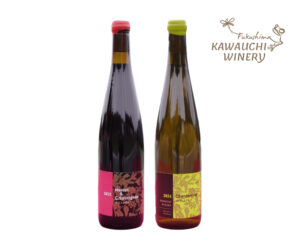 Village Merlot & Cabernet Sauvignon 2023<br>Village Chardonnay 2024