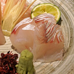 玉椿