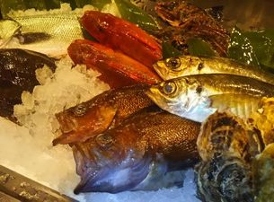 産地直送お魚とお野菜　海畑