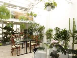 ピアシス新橋店