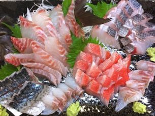 お魚sun
